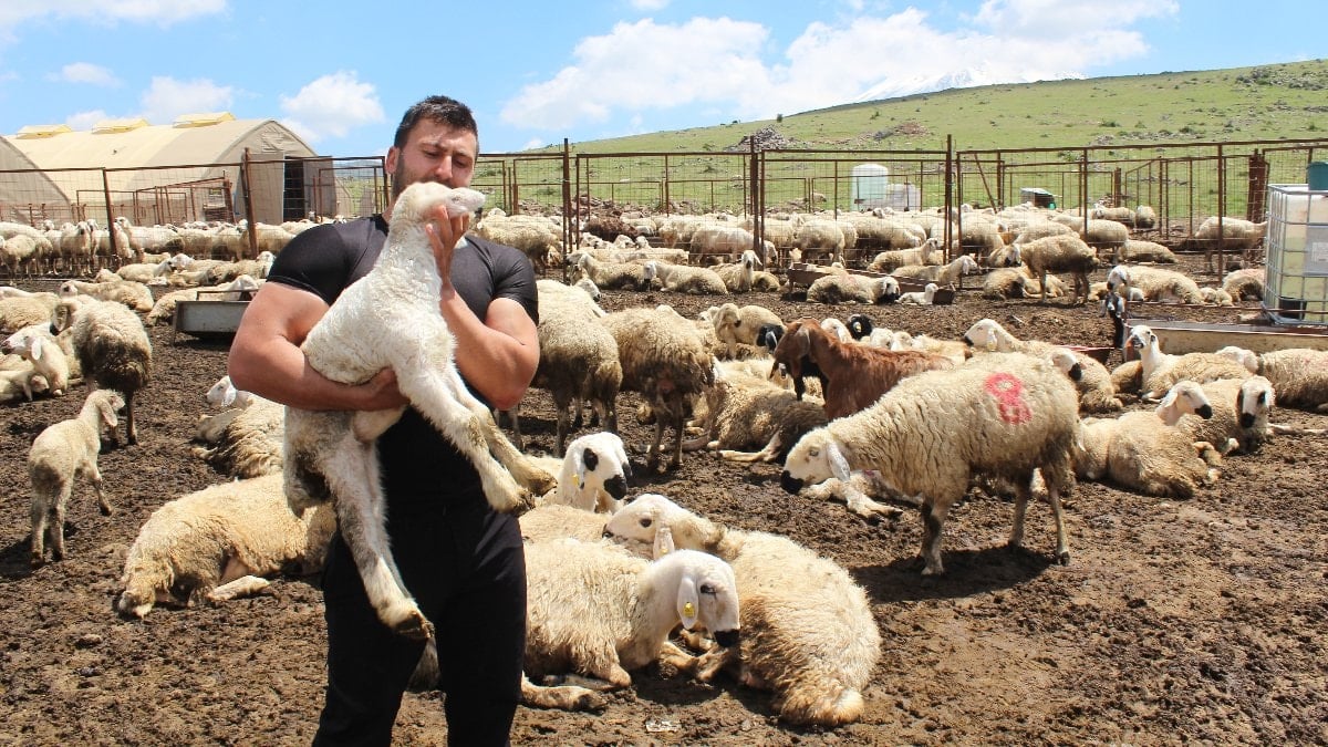 Aksaray’da köye dönmeye karar veren uzman çavuş, 2 yılda bin 300 koyun sahibi oldu