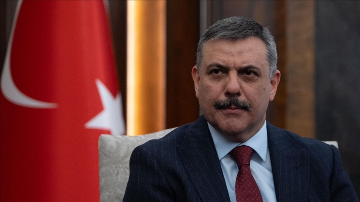 Mustafa Çiftçi: Başıboş sokak köpeği sorunu tahlile kavuşuyor