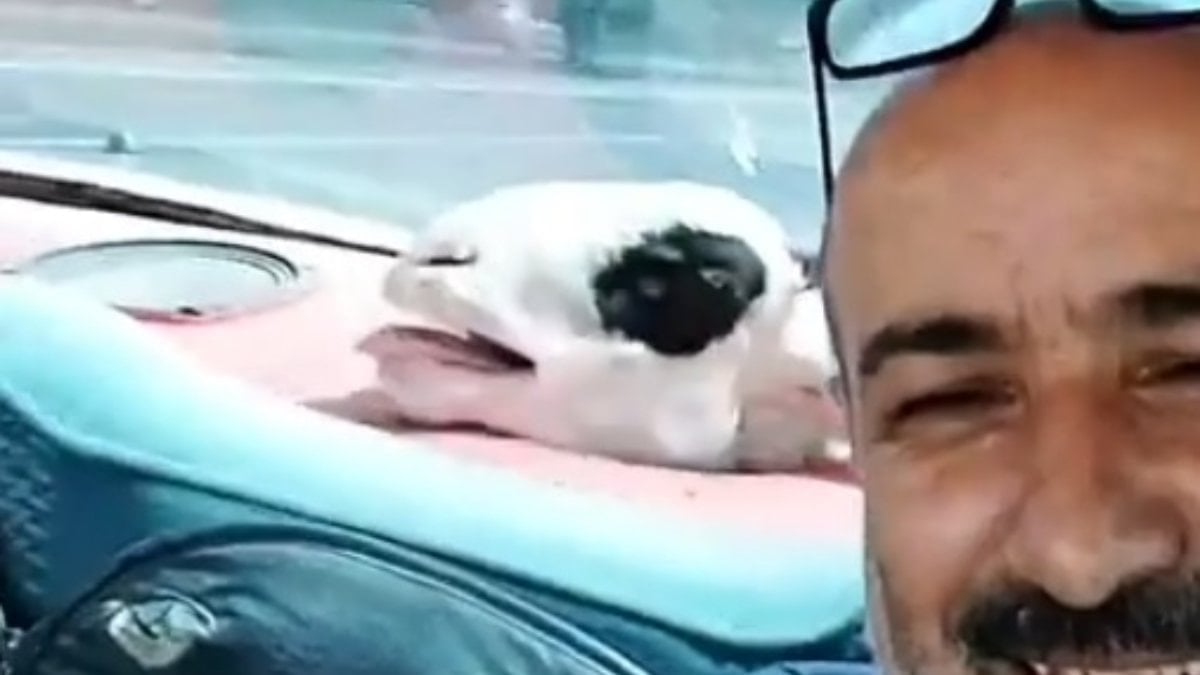Niğde’de aldığı kurbanlık koyunla seyahat yapıp selfie çekti
