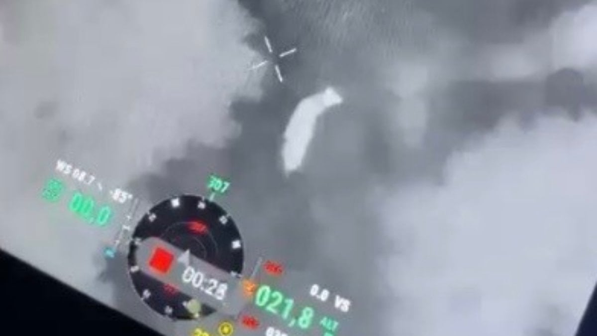 Osmaniye'de drone dayanaklı kurbanlık araması: Tesadüfen öbür kayıp hayvan bulundu