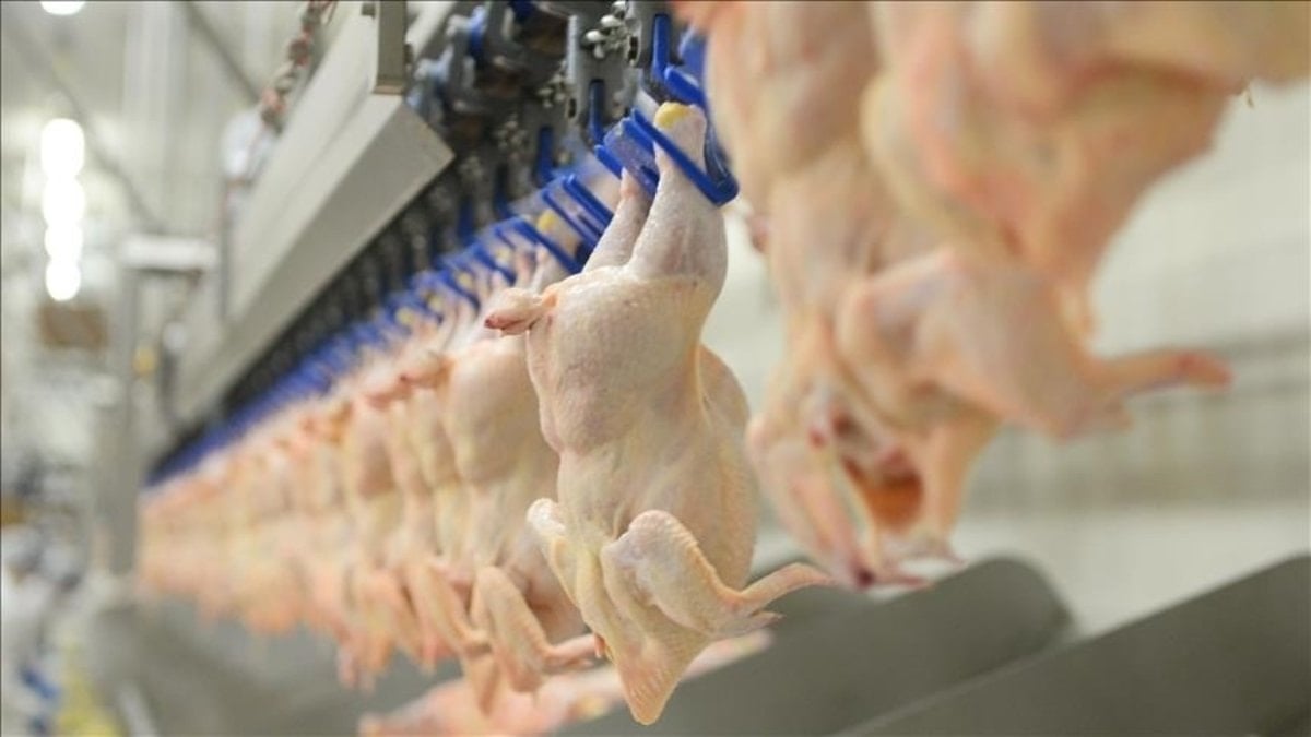 Beyaz et soruşturmasında 4 şirket için kayyum önlemi durduruldu