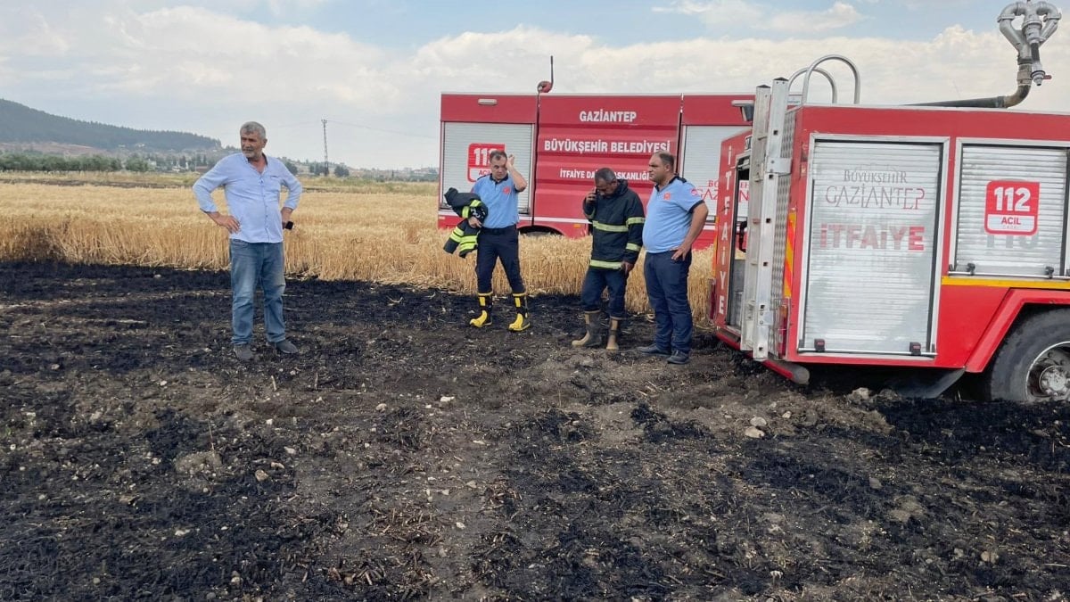 Gaziantep'te 5 dönümlük buğday tarlası yandı