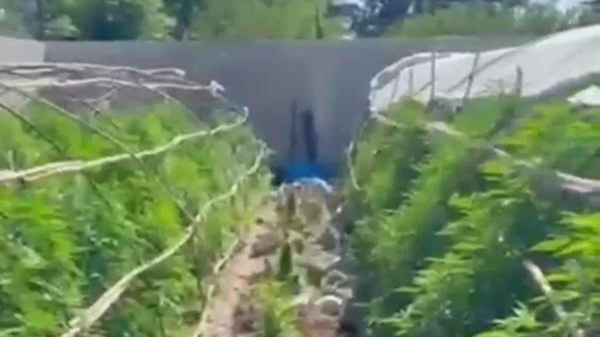 Hatay'da seraları uyuşturucu üstüne çevirdiler