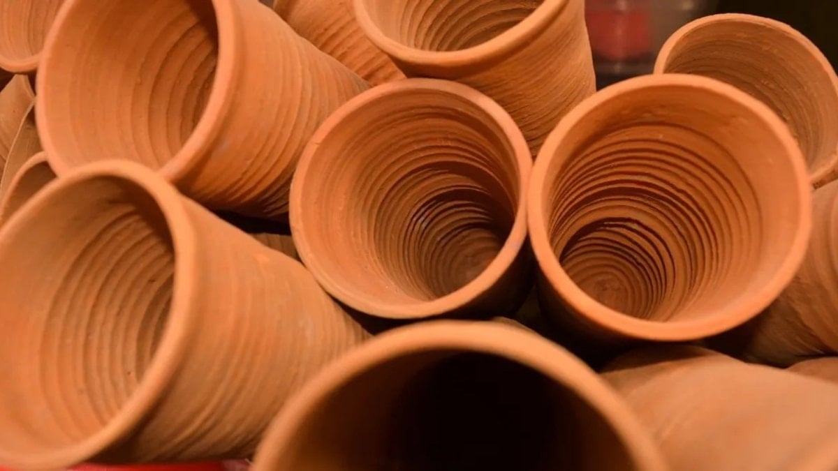 Klimaları kapatın: Çatısına 7 bin tane dizdi, meskenini doğal doğal serinletti