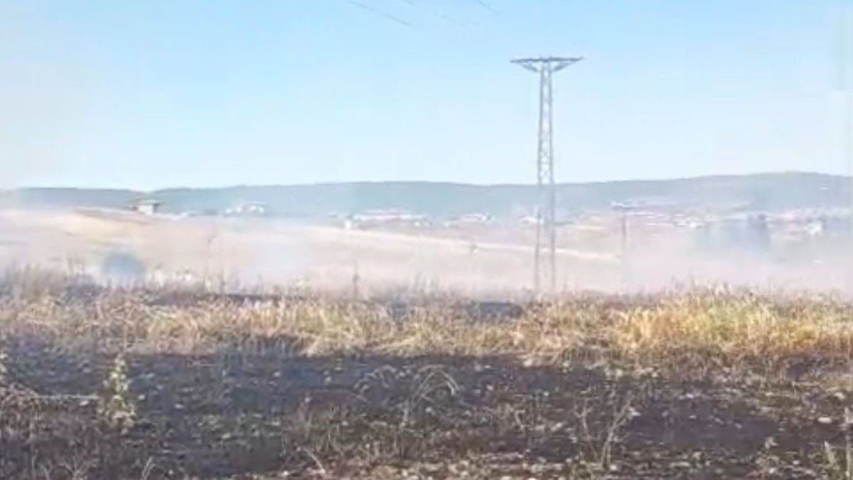 Kütahya'da hasat çalışmaları sırasında yangın çıktı