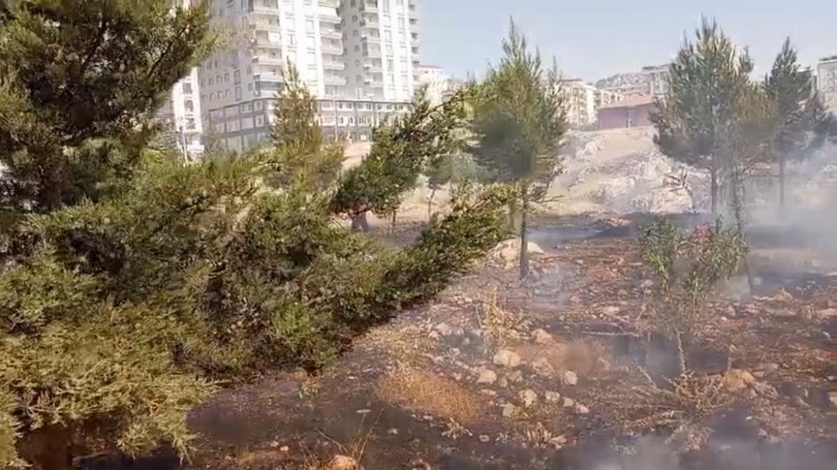 Mardin'de farklı noktalarda yangın