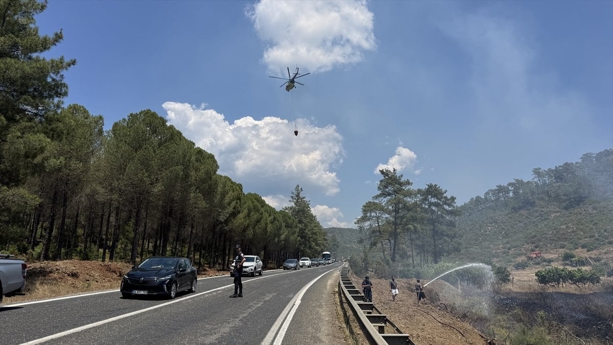 Muğla'da orman ve tarım toprağında yangın