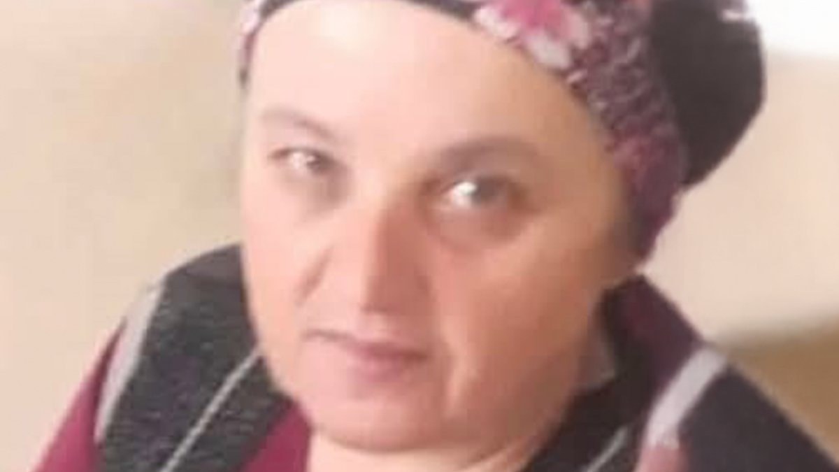 Zonguldak'ta eşek arısının soktuğu bayan kurtarılamadı