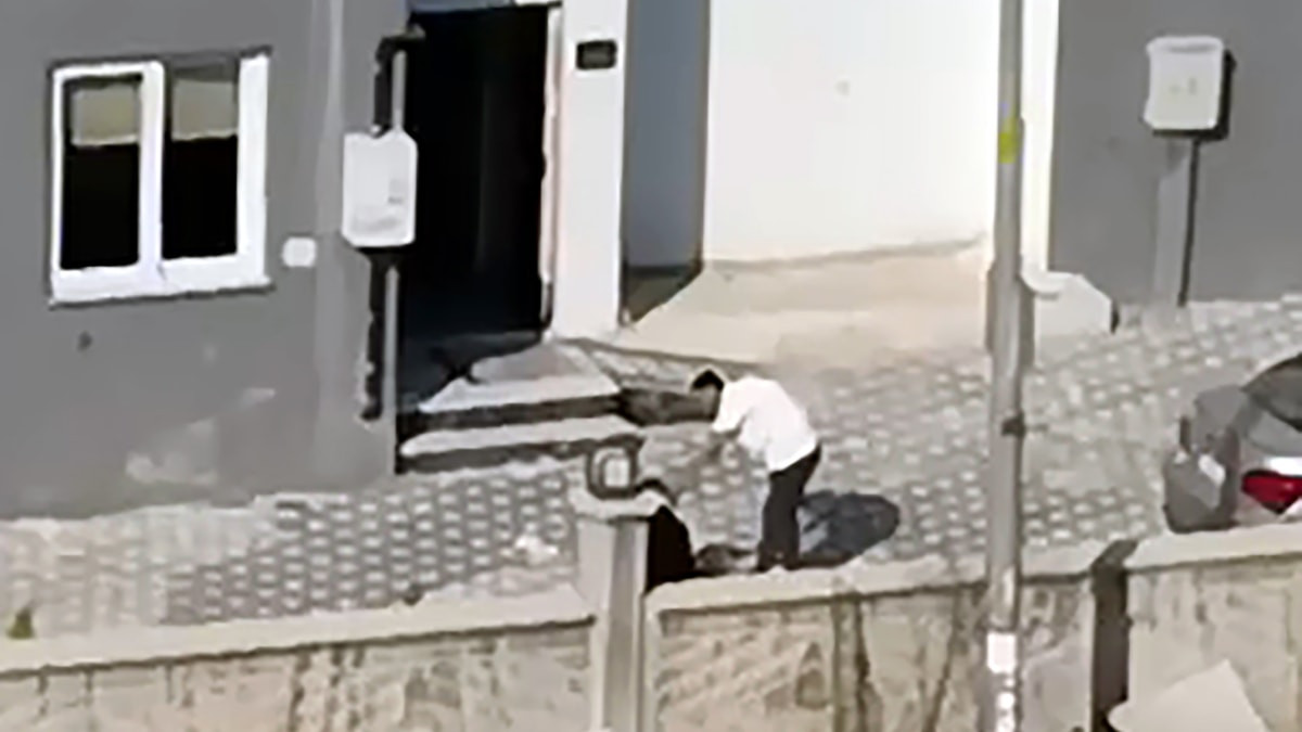 Adana'da tartıştığı bayanı tekme ve yumruklarla dövdü
