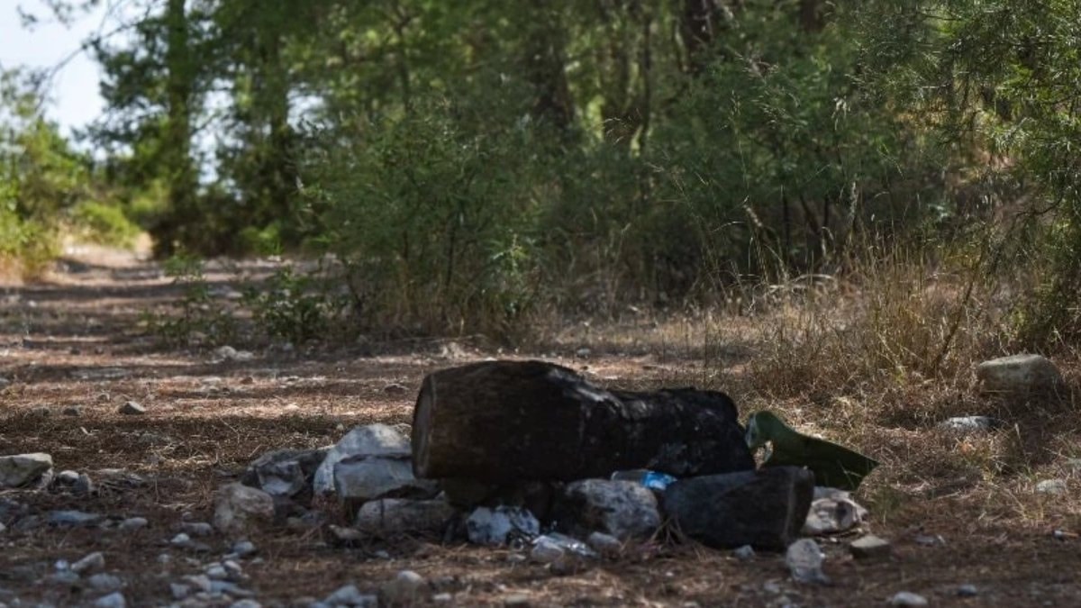 Antalya'da yasağa karşın mangal duyarsızlığı