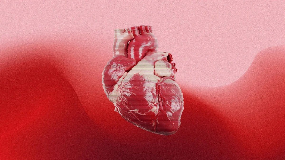 Bilim insanları, doğuştan kalp kusurlarını açıklayabilecek bilinmeyen bir hücre sinyali keşfetti