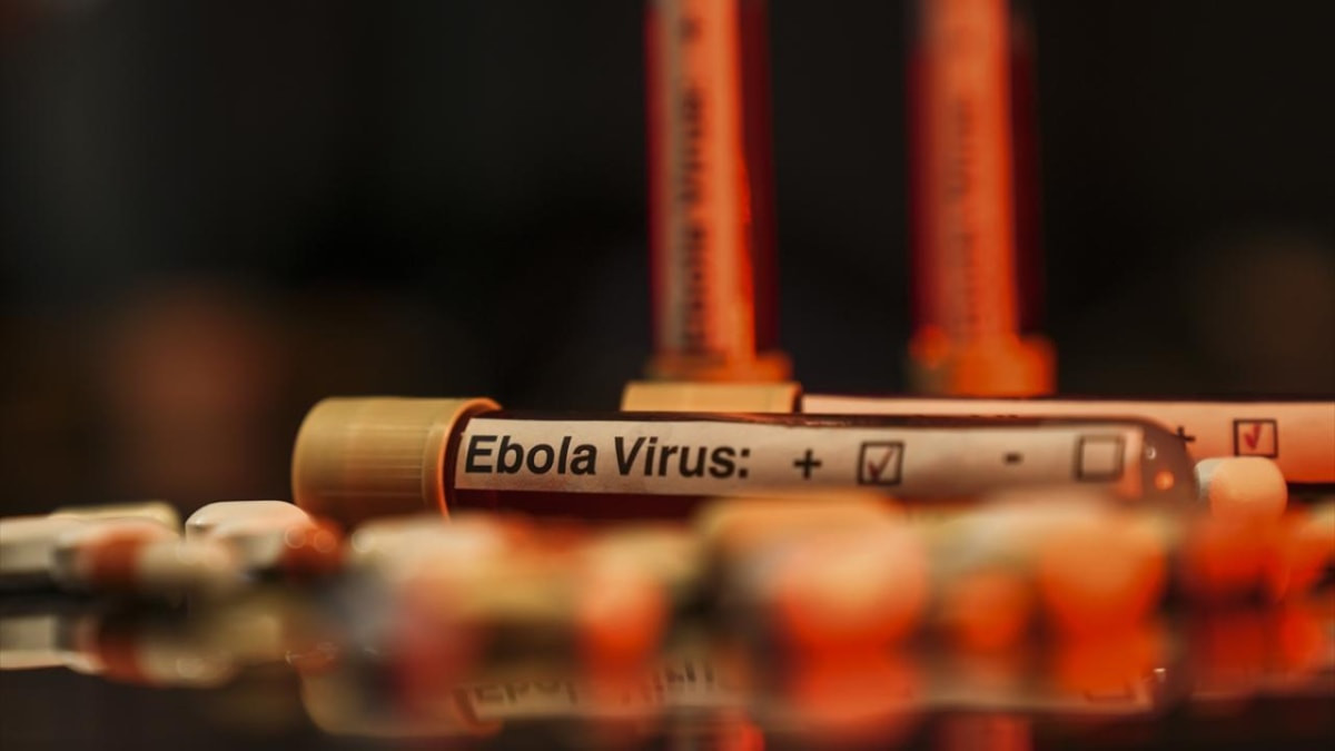 DSÖ Uganda'daki Ebola salgınının sona erdiğini doğruladı