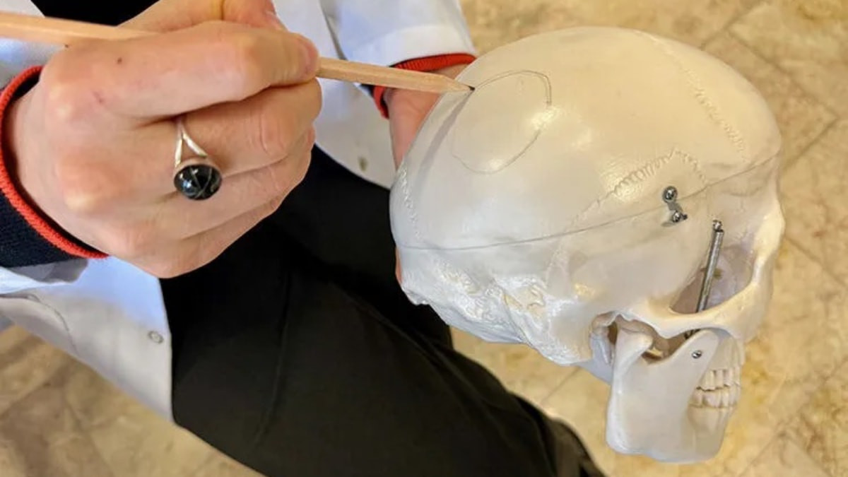 İnsan bedeninde saklanan yeni bir organ keşfedildi: İşte misyonu