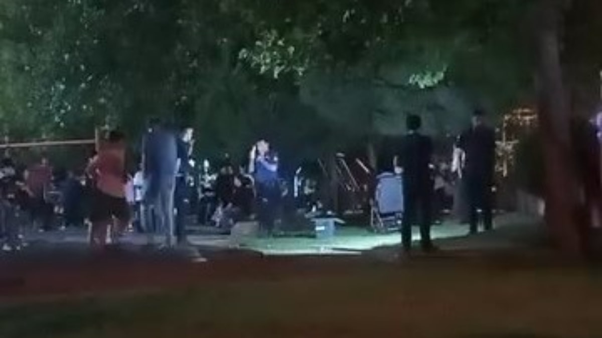 İstanbul'da bebeğiyle parka çıkan bayan pusette silah buldu