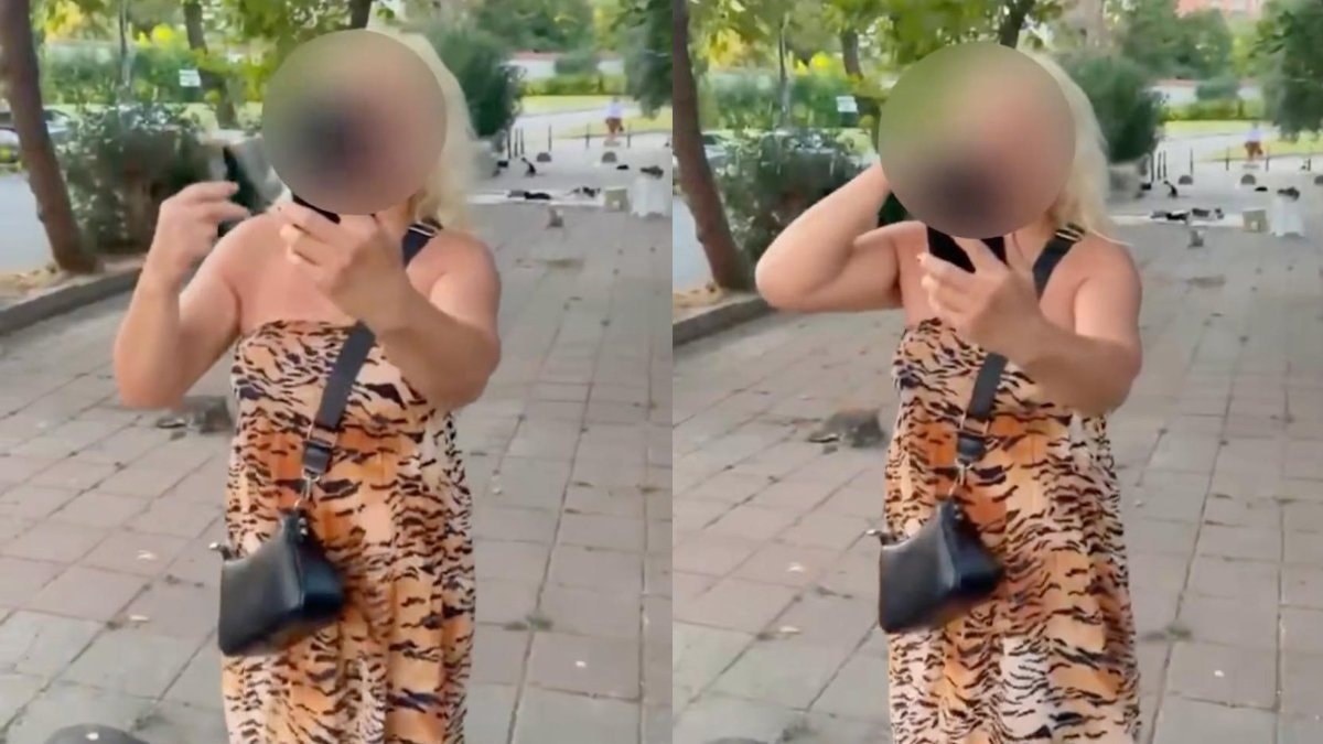 İstanbul'da kedi maması tartışması: Yolu kapatan bayan gözaltında