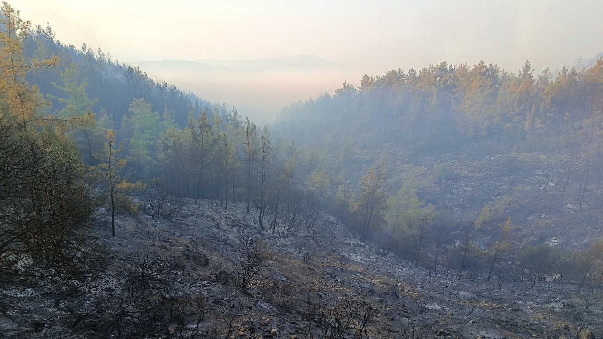 Antalya'da yangının gücü düşürüldü