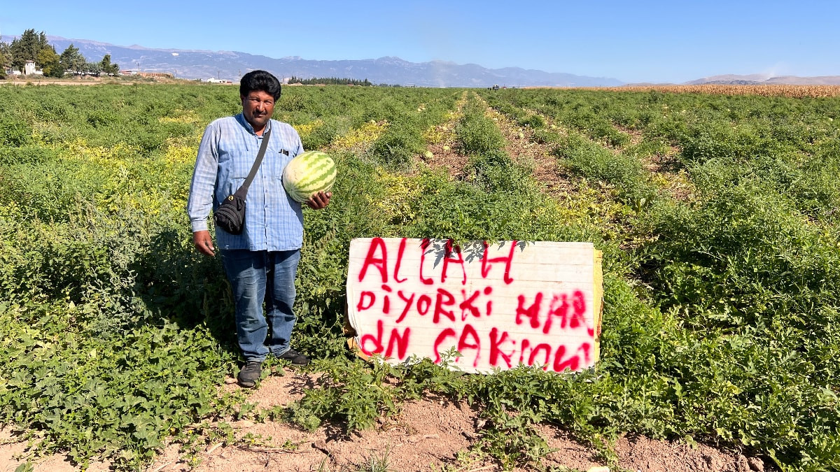 Hatay'da karpuz hırsızlarına tahlil bulamayan çiftçi nöbete başladı