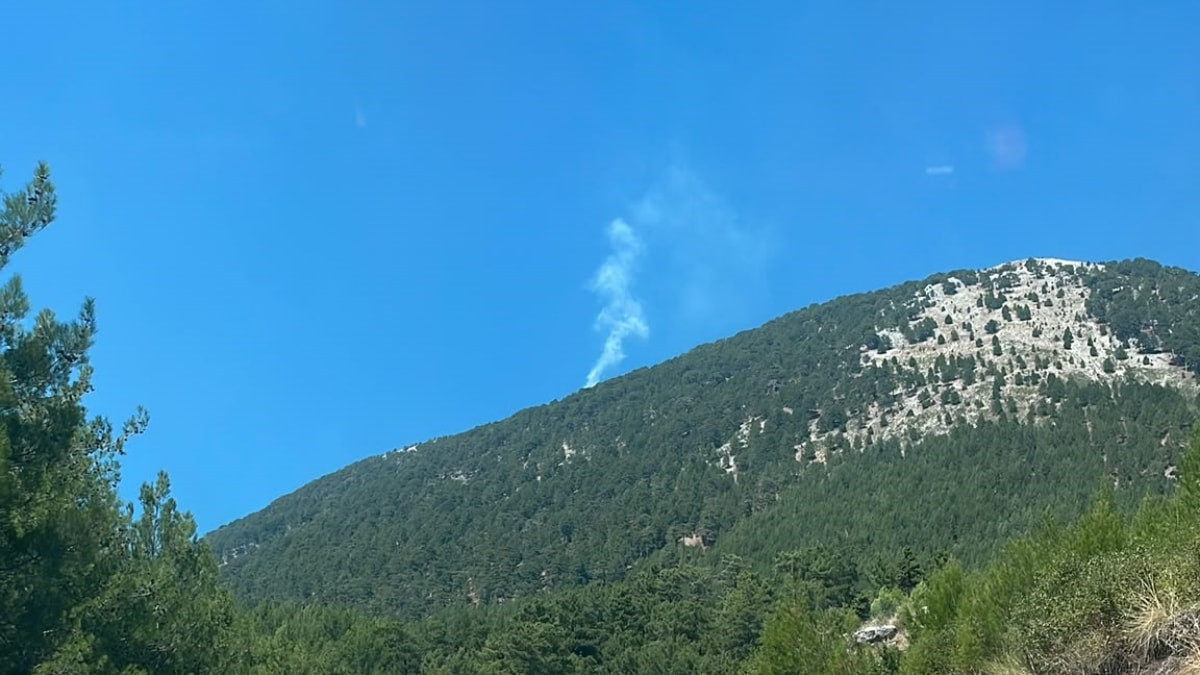 Muğla'da orman yangını