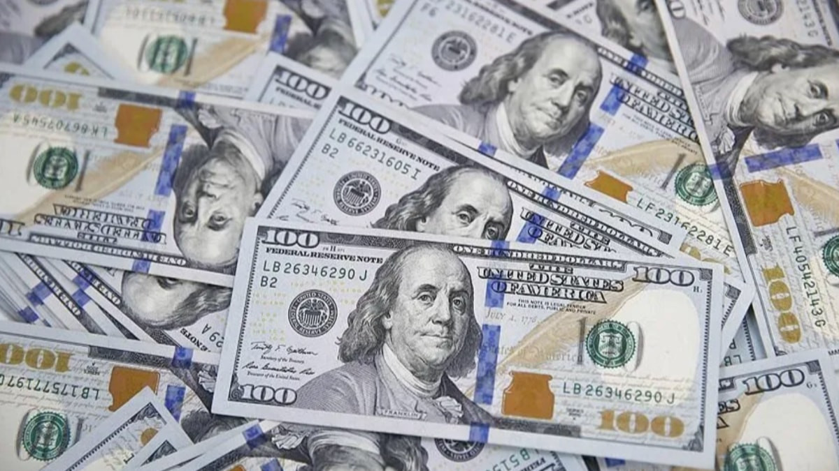Ödemeler istikrarı temmuzda 36 milyon dolar fazla verdi